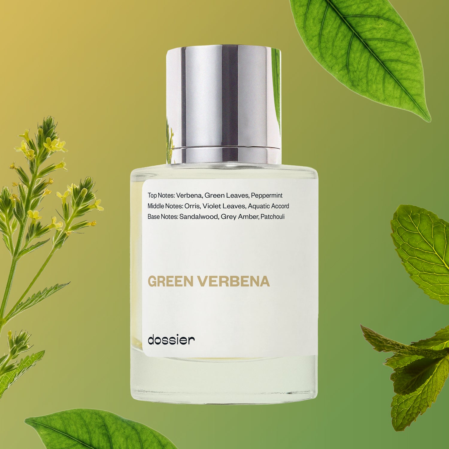 Green-Verbena.jpg