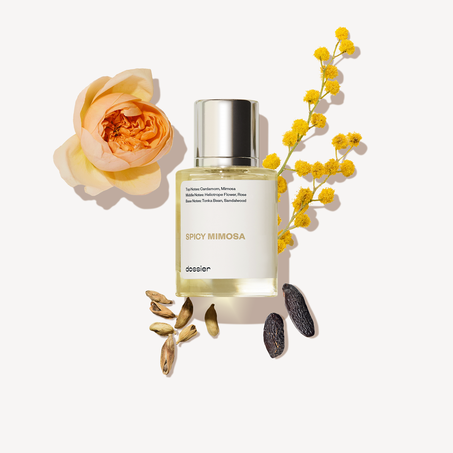 Spicy-Mimosa_50ef914d-6b69-41c9-accc-1d39803c5c01.png